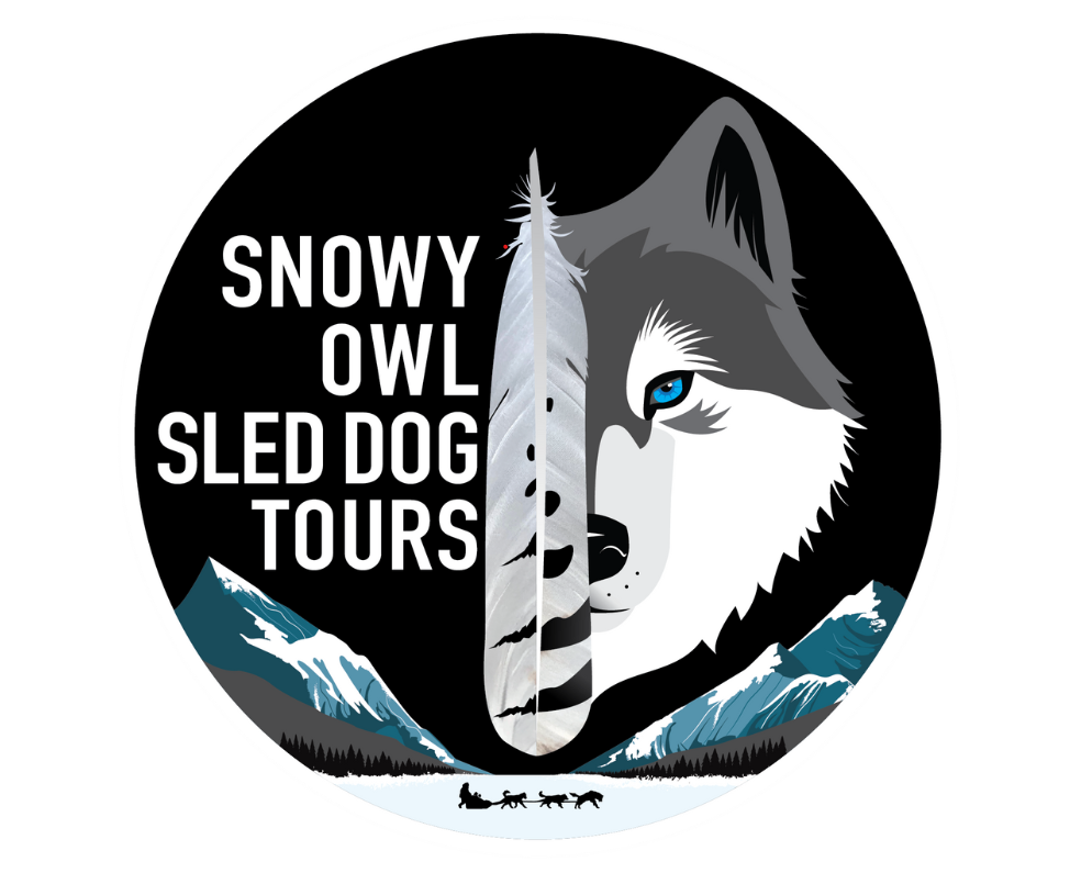 Snowy Owl Sled Dog Tours